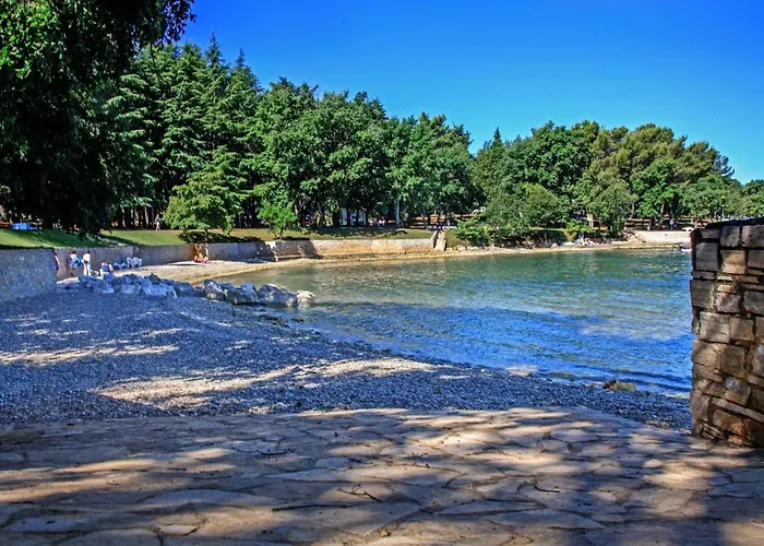 Tatil Evi - Lavanda 4