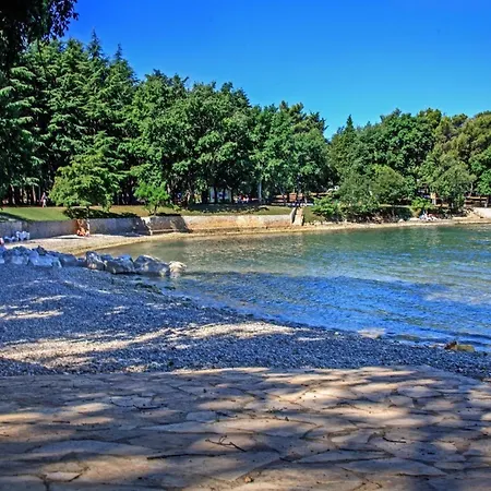 Nyaraló - Lavanda 4