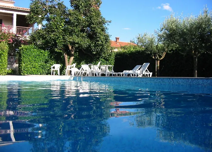- Lavanda 4 *